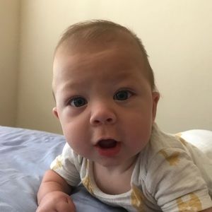 Meet your Posher, Rose